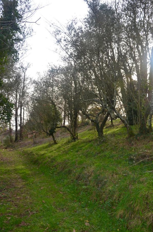 Il Giardino Secreto Apartment Manziana Bagian luar foto