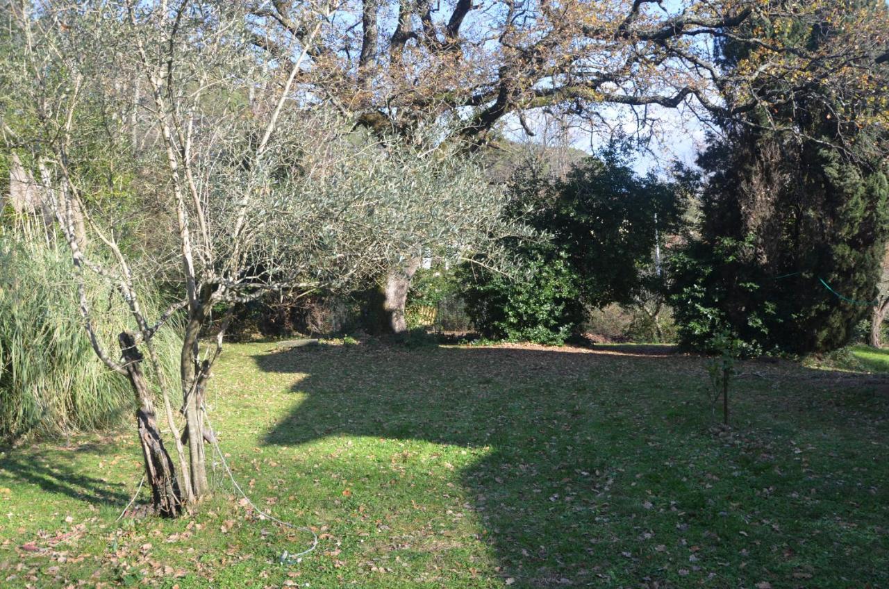 Il Giardino Secreto Apartment Manziana Bagian luar foto
