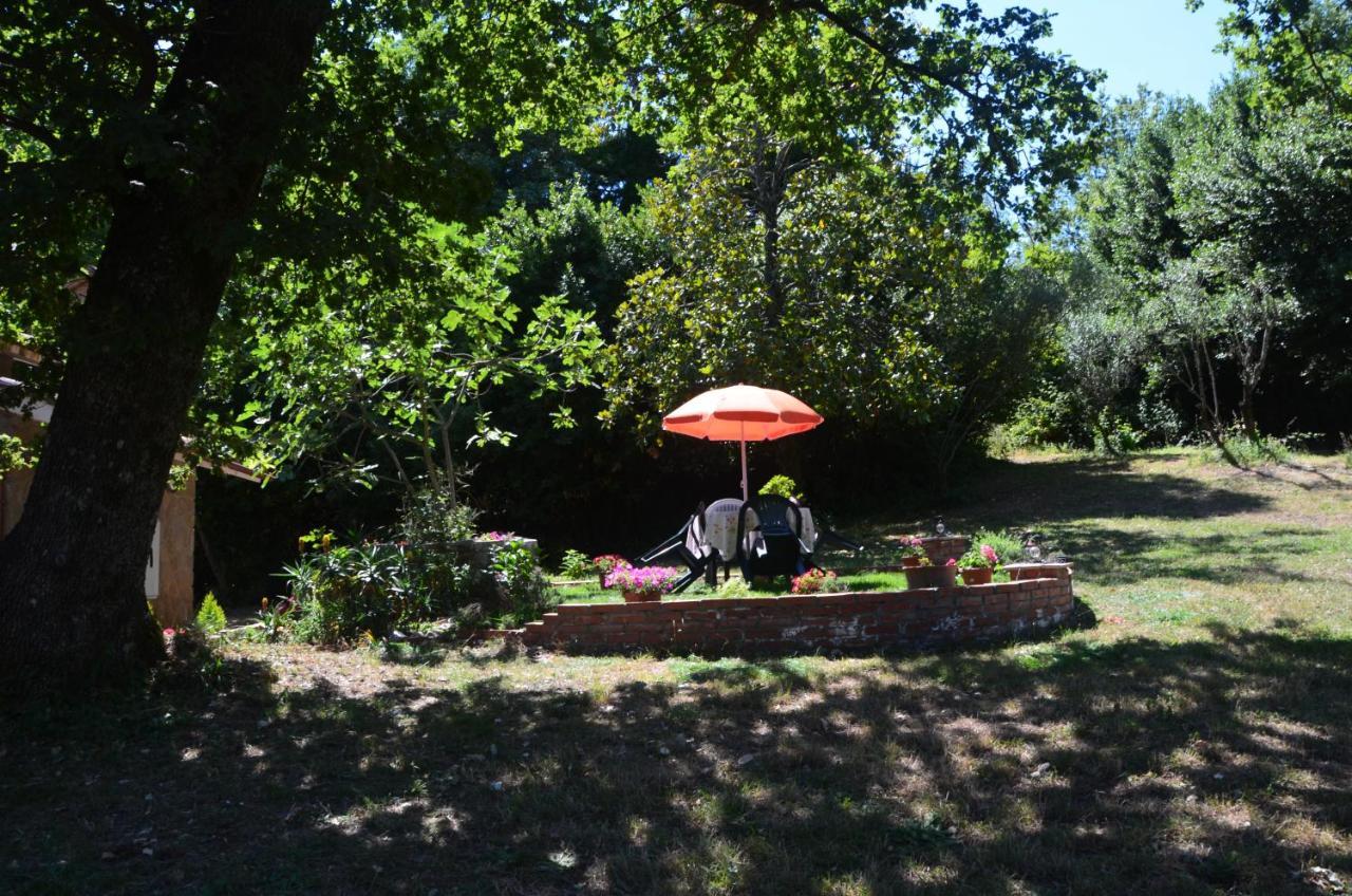 Il Giardino Secreto Apartment Manziana Bagian luar foto