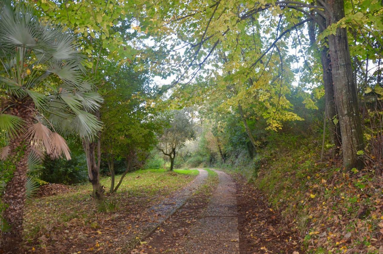 Il Giardino Secreto Apartment Manziana Bagian luar foto